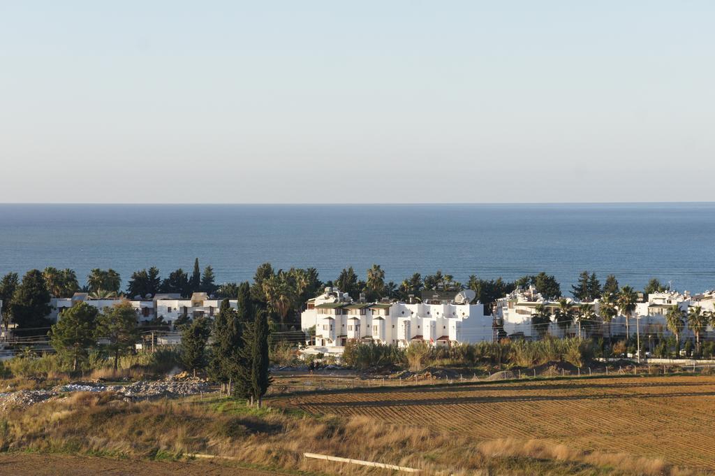 Sea View Studio In Orion Garden Διαμέρισμα Avsallar Δωμάτιο φωτογραφία